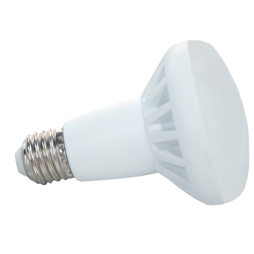 LED R BULB