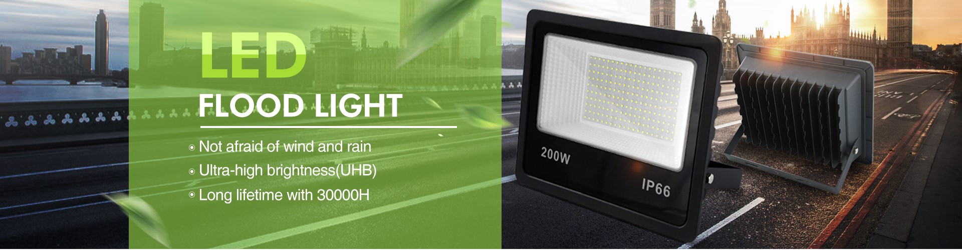 LED Flood Light