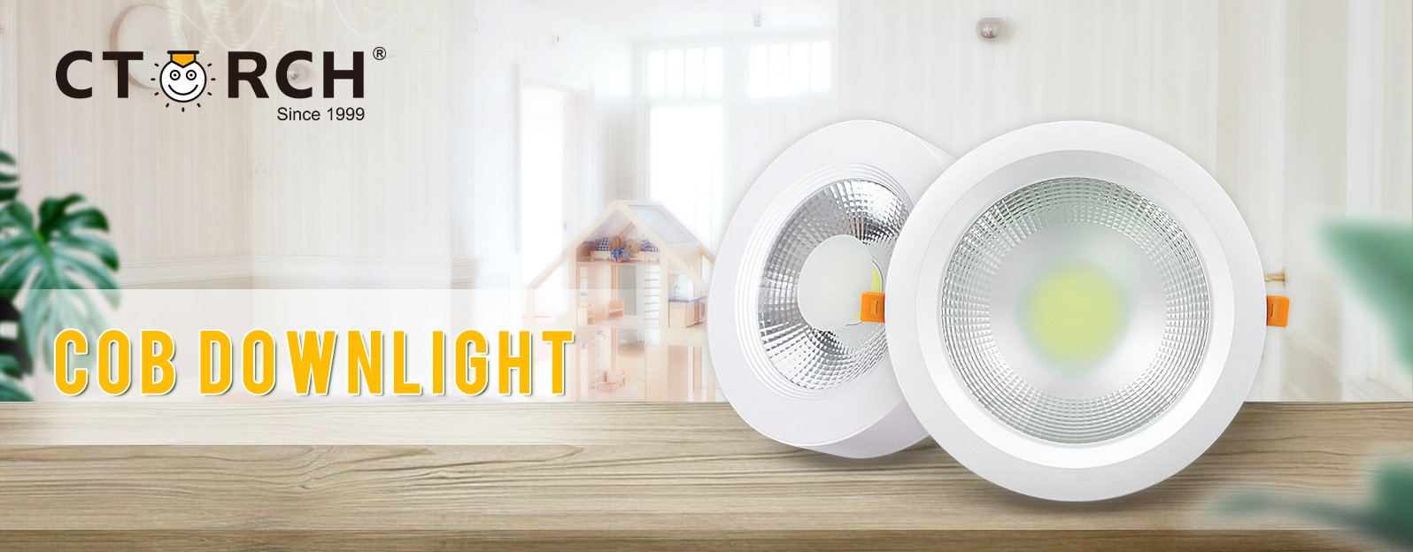 COB DOWNLIGHT